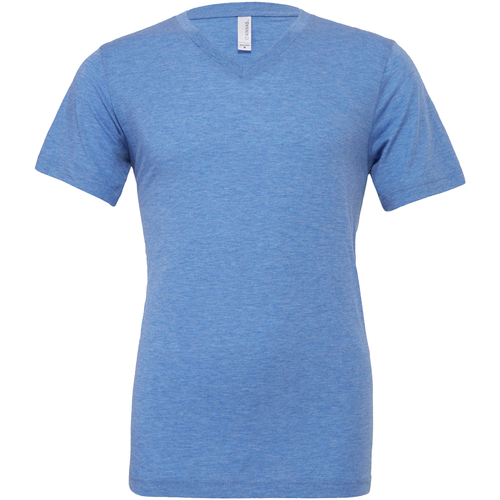 Vêtements Homme T-shirts manches courtes Bella + Canvas CA3415 Bleu