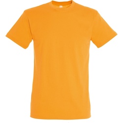 Vêtements Homme T-shirts manches courtes Sols Regent Orange