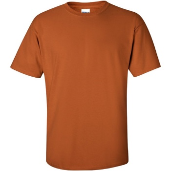 Vêtements Homme T-shirts manches courtes Gildan Ultra Orange Texas