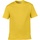 Vêtements Homme T-shirts Cucinelli manches courtes Gildan Softstyle Multicolore