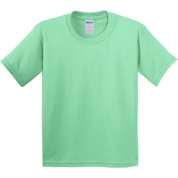 Vêtements Enfant T-shirts manches courtes Gildan 5000B Vert menthe