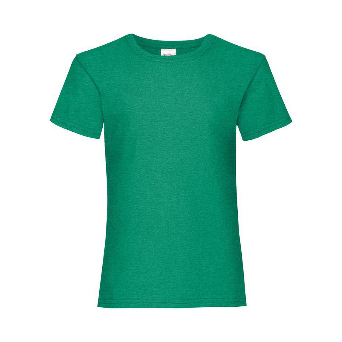 Vêtements Fille T-shirts manches courtes Fruit Of The Loom 61005 Vert