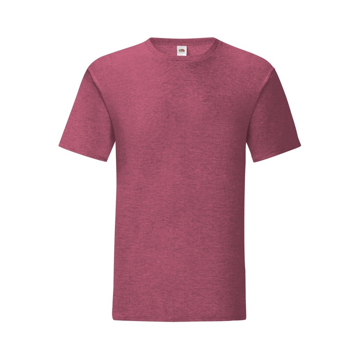 Vêtements Homme T-shirts manches longues Fruit Of The Loom Iconic 150 Multicolore