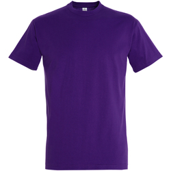 Vêtements Homme T-shirts manches courtes Sols 11500 Violet