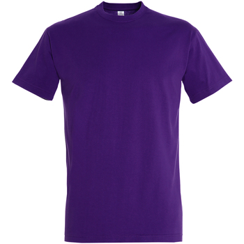 Vêtements Homme T-shirts manches courtes Sols Imperial Violet