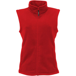 Vêtements Femme Décorations de noël Regatta RG186 Rouge