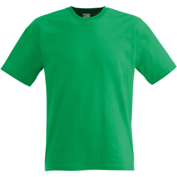 Vêtements Homme T-shirts manches courtes Universal Textiles 61082 Vert
