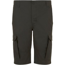 Vêtements Homme Shorts / Bermudas Sols Jackson Gris