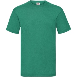 Vêtements Homme T-shirts manches courtes Fruit Of The Loom 61036 Vert chiné