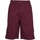 Vêtements Homme Shorts / Bermudas Trespass Leominster Multicolore