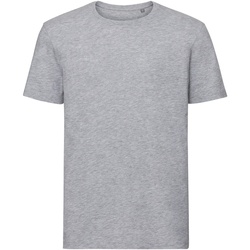 Vêtements Homme T-shirts manches courtes Russell Tshirt AUTHENTIC PC3569 Gris claire