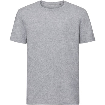 Vêtements Homme T-shirts manches courtes Russell Tshirt AUTHENTIC PC3569 Gris claire