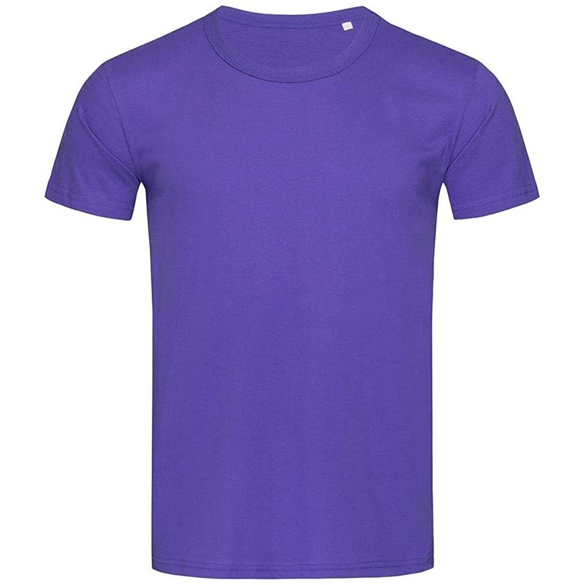 Vêtements Homme T-shirts manches longues Stedman Stars Ben Violet