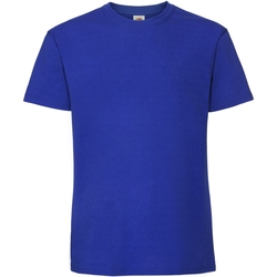Vêtements Homme T-shirts manches courtes Fruit Of The Loom Premium Bleu roi