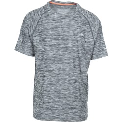 Vêtements Homme T-shirts SWEATSHIRT & Polos Trespass Gaffney Gris