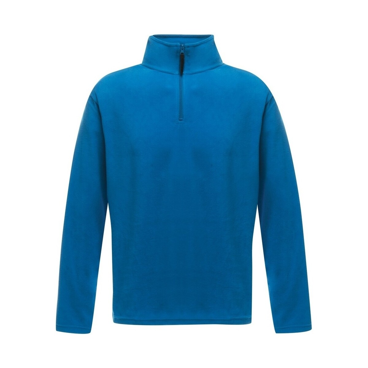 Vêtements Homme Sweats Regatta RG1580 Bleu