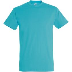 Vêtements Homme T-shirts manches courtes Sols 11500 Bleu clair
