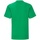 Vêtements Enfant T-shirts manches courtes Fruit Of The Loom Iconic Vert