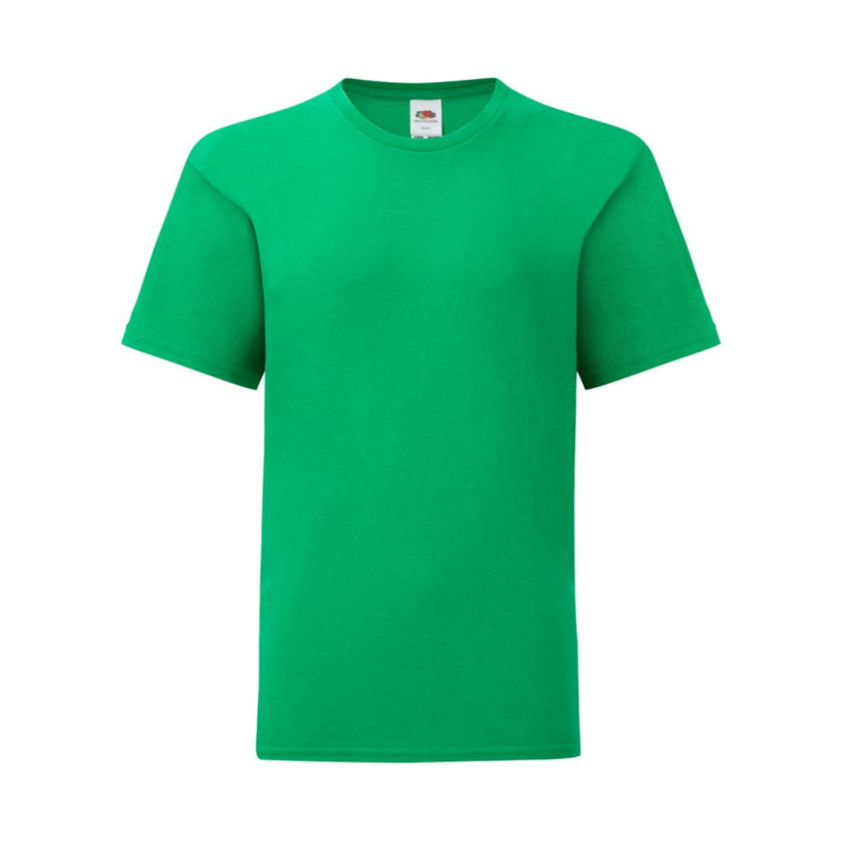 Vêtements Enfant T-shirts manches courtes Fruit Of The Loom Iconic Vert
