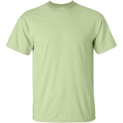 Vêtements Homme T-shirts manches courtes Gildan Ultra Pistache