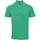 Vêtements Homme T-shirts & Polos Premier PR630 Vert