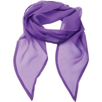 Accessoires textile Femme Echarpes / Etoles / Foulards Premier Formal Violet