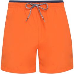 Vêtements Homme Shorts / Bermudas Asquith & Fox AQ053 Orange / bleu marine