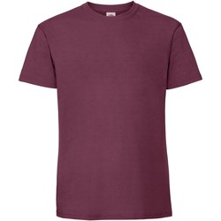Vêtements Homme T-shirts manches courtes Fruit Of The Loom Premium Bordeaux