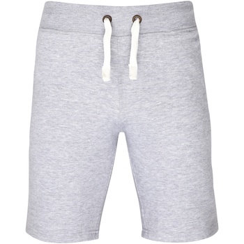 Vêtements Homme Shorts / Bermudas Awdis JH080 Gris