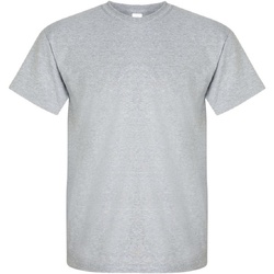 Vêtements Homme T-shirts manches courtes Gildan Ultra Gris sport