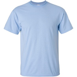 Vêtements Homme T-shirts manches courtes Gildan Ultra Bleu clair