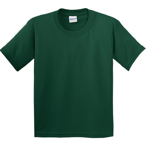Vêtements Enfant T-shirts dolces courtes Gildan 5000B Vert