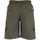 Vêtements Homme Shorts / Bermudas Duke  Multicolore