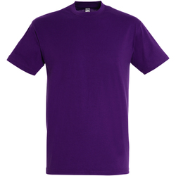 Vêtements Homme T-shirts manches courtes Sols 11380 Violet foncé
