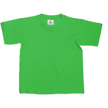 Vêtements Enfant T-shirts manches courtes B And C TK300 Vert