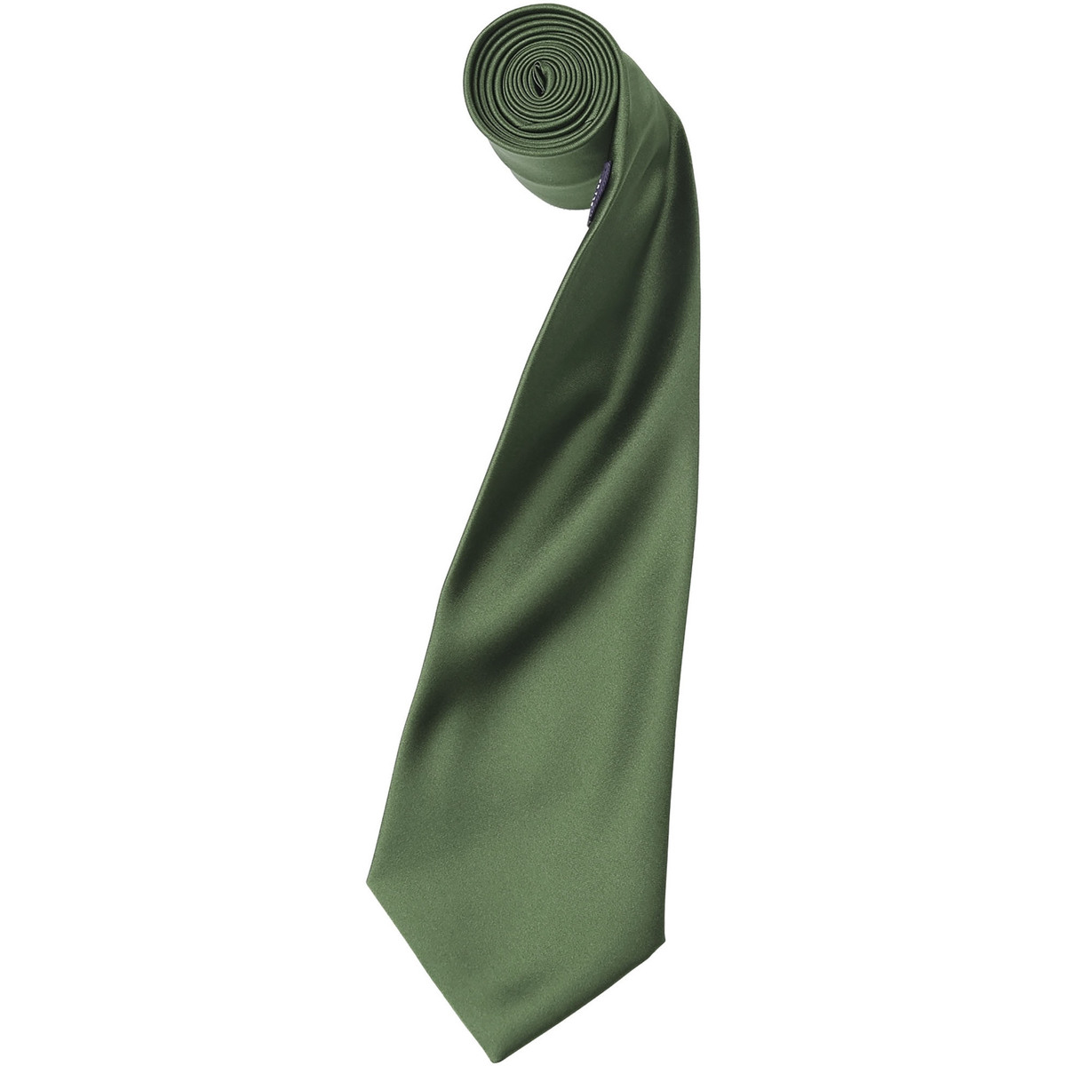 Vêtements Homme Cravates et accessoires Premier Satin Vert