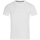 Vêtements Homme T-shirts fleece manches longues Stedman Stars Clive Blanc