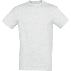 Vêtements Homme T-shirts manches courtes Sols 11380 Gris pâle