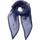 Accessoires textile Femme Echarpes / Etoles / Foulards Premier PR740 Bleu