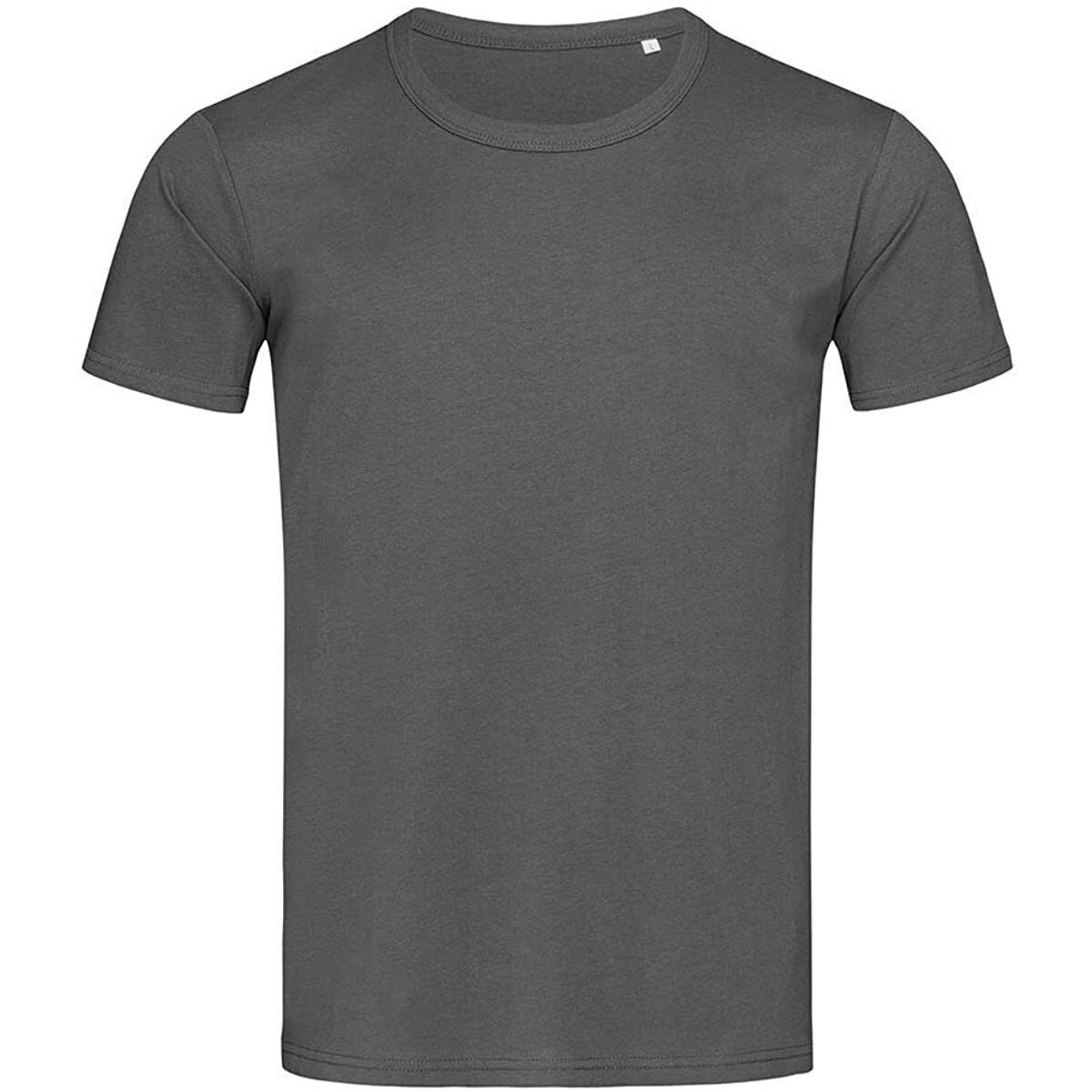 Vêtements Homme T-shirts manches longues Stedman Stars Ben Gris