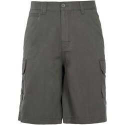 Vêtements Homme Shorts / Bermudas Trespass Rawson Vert