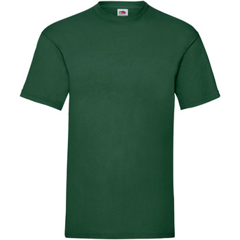 Vêtements Homme T-shirts manches courtes Fruit Of The Loom 61036 Vert