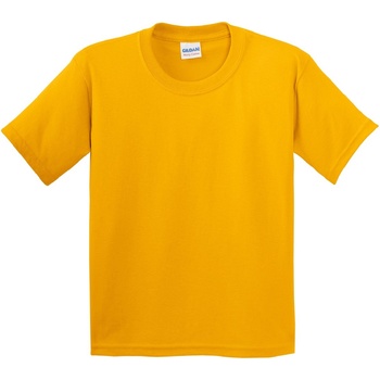 Vêtements Enfant T-shirts manches courtes Gildan 5000B Or