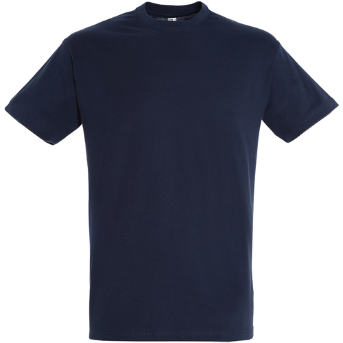 Vêtements Homme T-shirts manches courtes Sols 11380 Bleu
