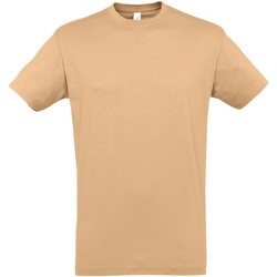 Vêtements Homme T-shirts manches courtes Sols 11380 Beige