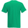 Vêtements Homme T-shirts manches courtes Universal Textiles 61036 Vert