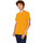 Vêtements Enfant T-shirts manches courtes B And C TK301 Multicolore