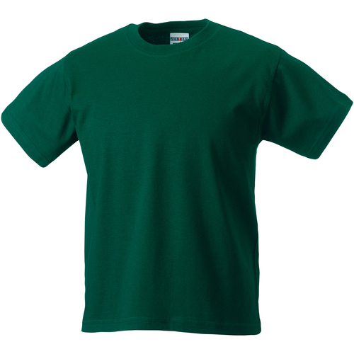 Vêtements Enfant T-shirts manches courtes Jerzees Schoolgear ZT180B Vert