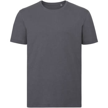 Vêtements Homme T-shirts manches longues Russell Tshirt AUTHENTIC PC3569 Gris