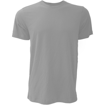 Vêtements Homme T-shirts manches courtes Bella + Canvas CA3001 Gris
